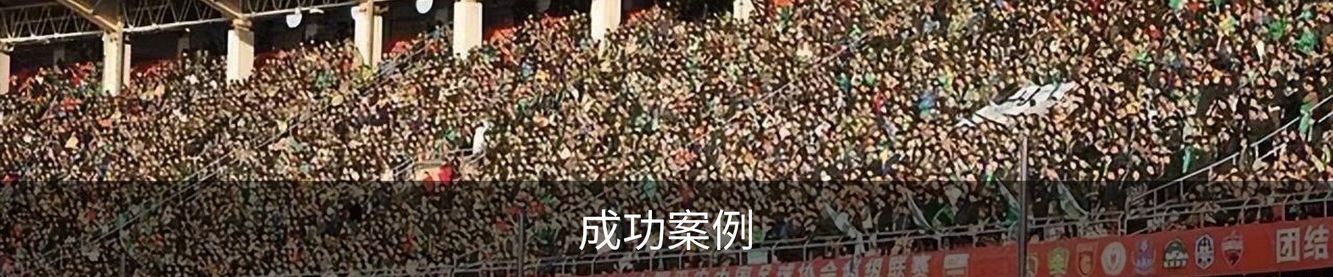 成功案例